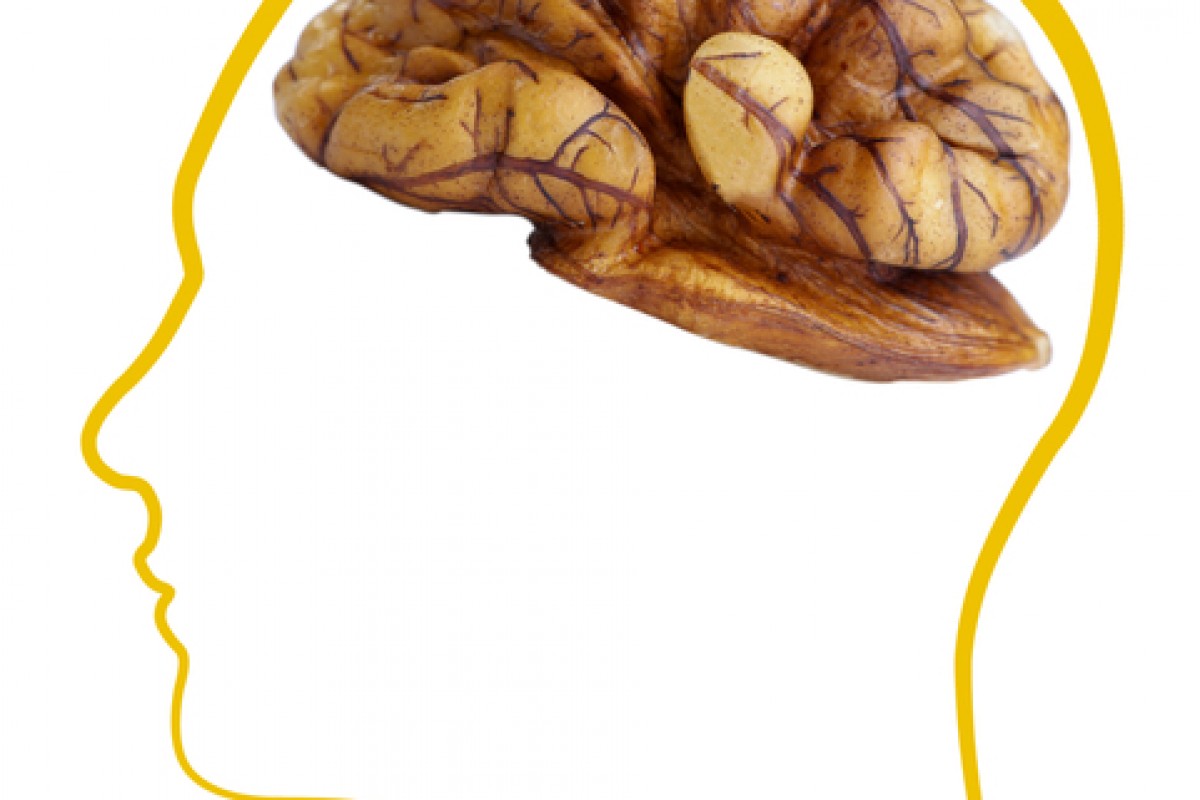 Walnuts Proven To Be A Crucial Factor Against Alzheimer's Disease