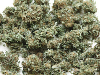 cannabis drug for alzheimer's