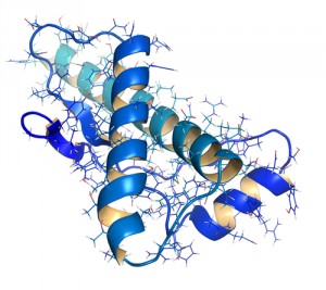 misfolded protein
