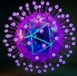 Herpes Simplex Virus Tied To Alzheimer's Risk