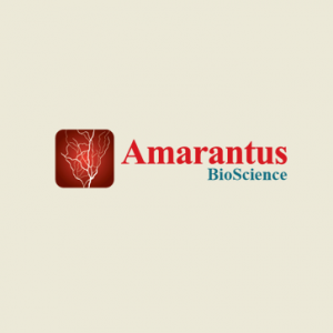 amarantus 2