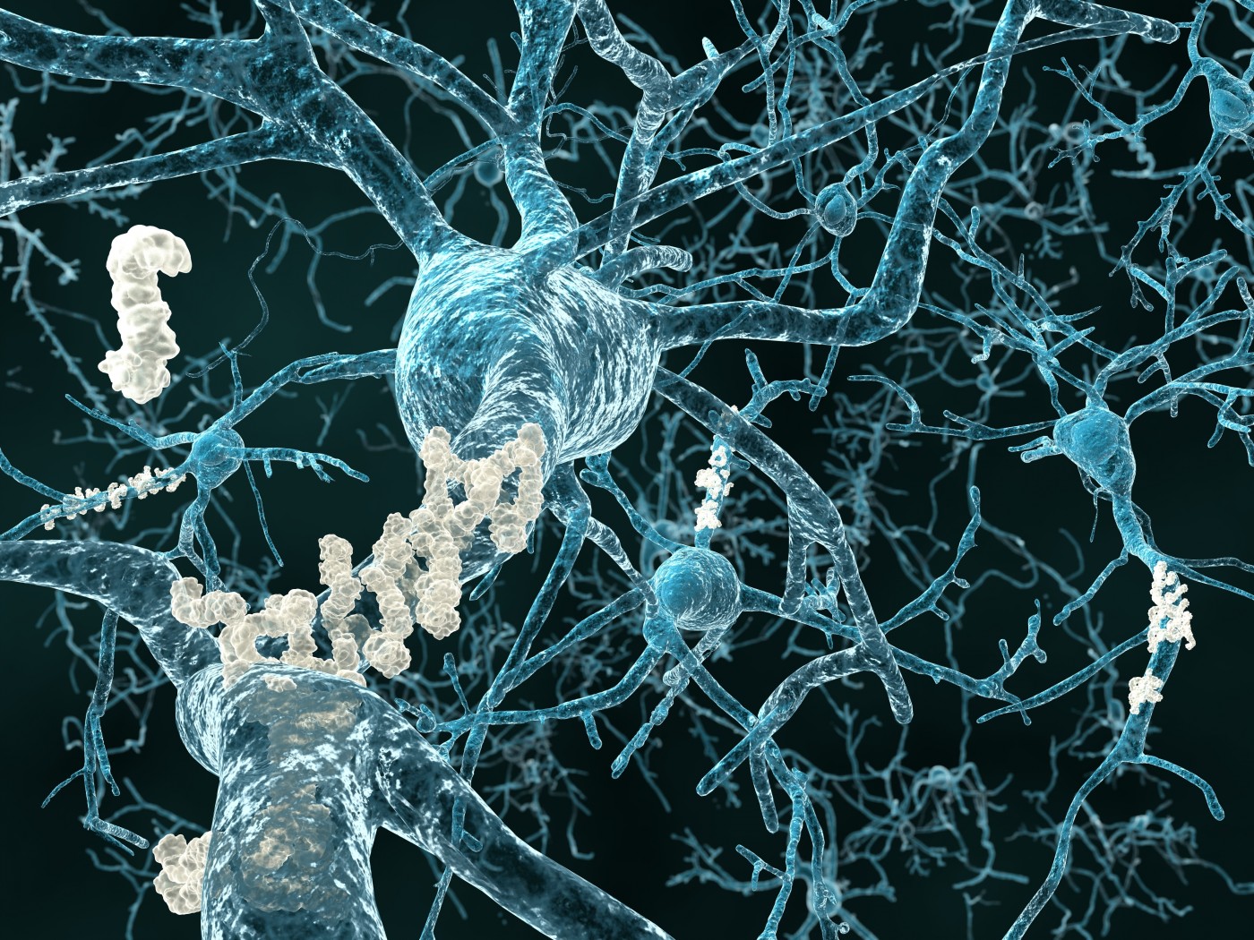 Amyloid Protein