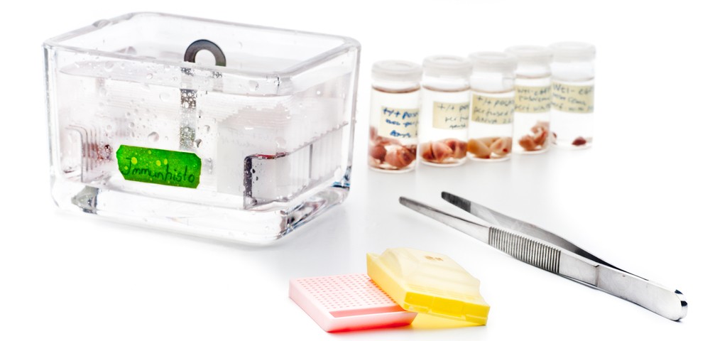 Alzheimer’s Proteins In Brain Tissue Extracted More Easily by New Technique Alzheimer’s Proteins In Brain Tissue Extracted More Easily by New Technique