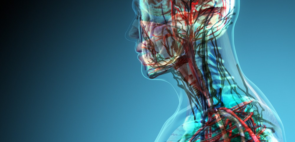 Cerebral Vessel Disease Appears Linked to Alzheimer’s Dementia, Researchers Report Cerebral Vessel Disease Appears Linked to Alzheimer’s Dementia, Researchers Report