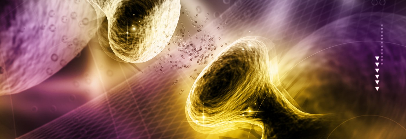 Molecular Mechanism Responsible for Synapse Loss in Alzheimer’s Disease Revealed Molecular Mechanism Responsible for Synapse Loss in Alzheimer’s Disease Revealed