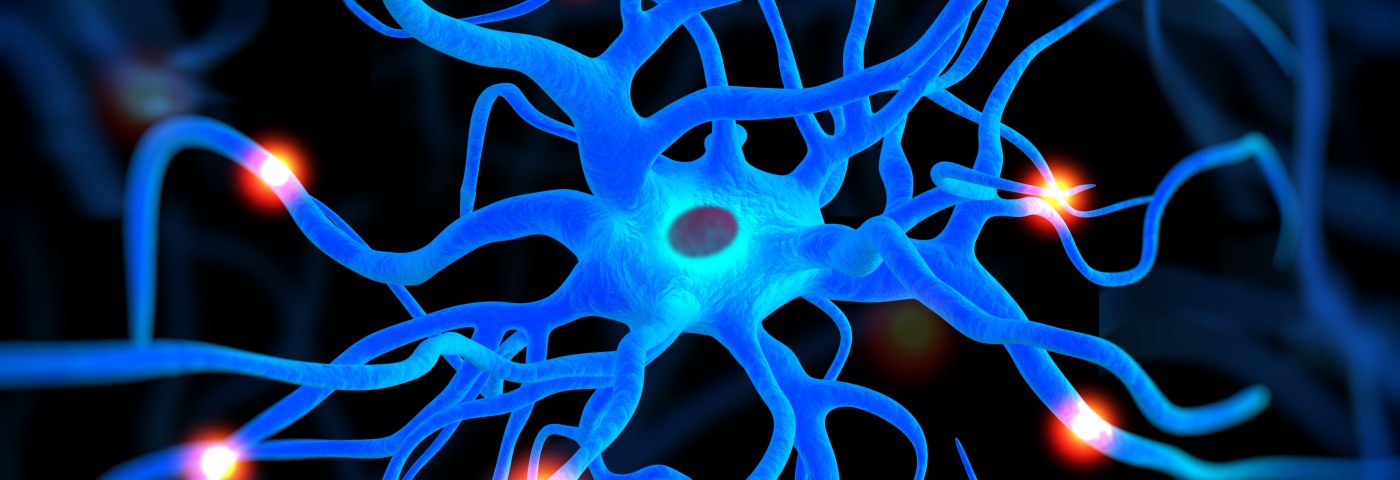 Alzheimer’s Study Finds Astrocytes Do Not Rush to Destroy Brain Plaque Alzheimer’s Study Finds Astrocytes Do Not Rush to Destroy Brain Plaque