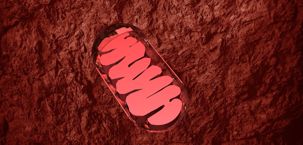 MitoQ Proprietary Antioxidant Selected For Study By National Institute of Aging’s Interventions Testing Program MitoQ Proprietary Antioxidant Selected For Study By National Institute of Aging’s Interventions Testing Program