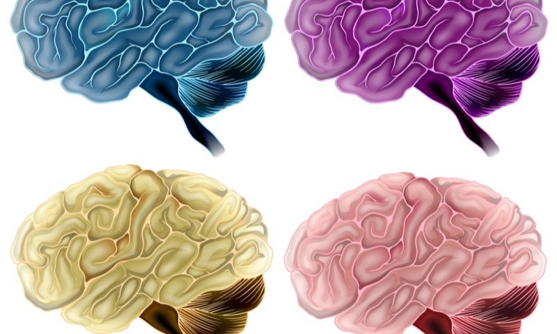 Brain Region Crucial to Memory and Cognition Is First to Exhibit Buildup of Alzheimer-linked Proteins, Study Finds Brain Region Crucial to Memory and Cognition Is First to Exhibit Buildup of Alzheimer-linked Proteins, Study Finds