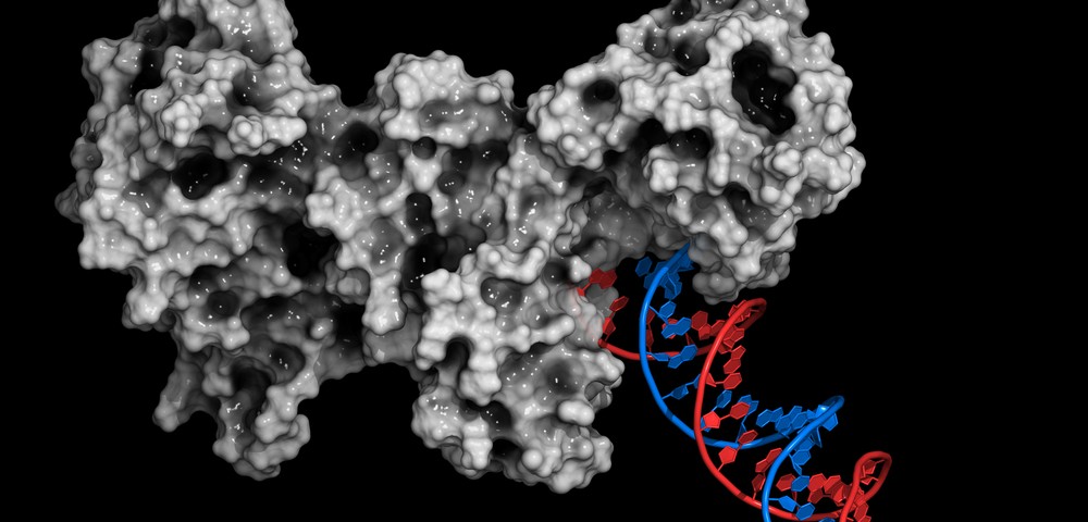 Potential Alzheimer’s Therapies May Result from Research Into Anti-Cancer Drug, Scientists Say Potential Alzheimer’s Therapies May Result from Research Into Anti-Cancer Drug, Scientists Say