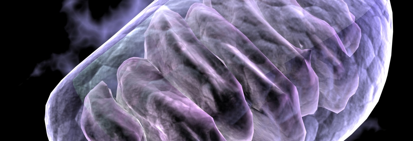 Women’s Dementia Risk Appears to Be Reflected by Alterations in Brain Protein Women’s Dementia Risk Appears to Be Reflected by Alterations in Brain Protein