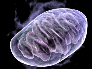 Study of gender-specific differences in brains of dementia patients
