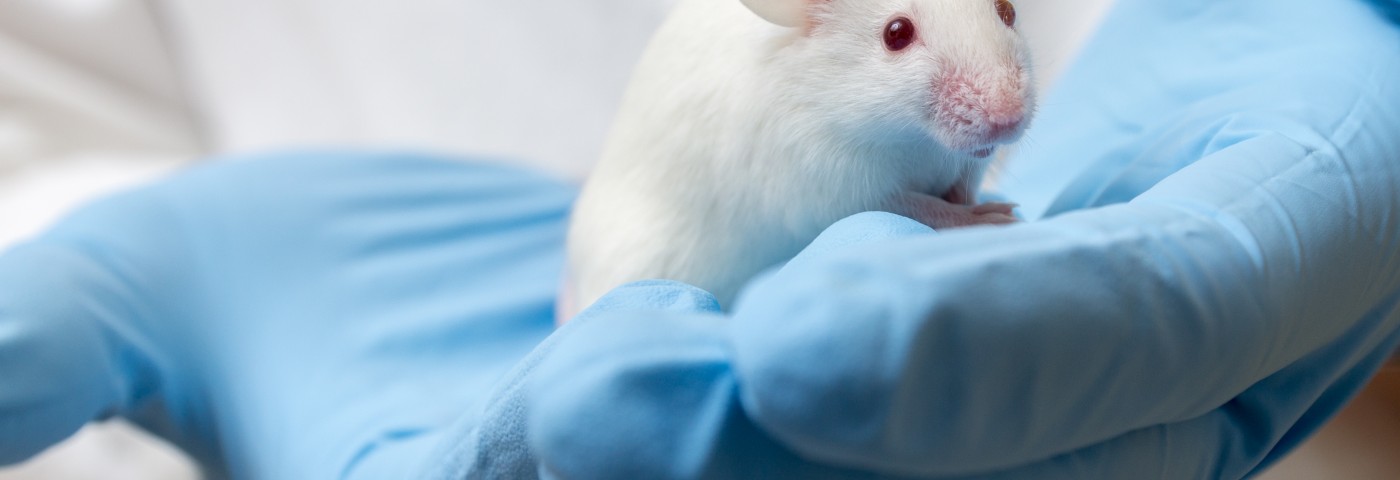 New Research Reveals Certain Protein Protects Against Neurodegenerative Diseases New Research Reveals Certain Protein Protects Against Neurodegenerative Diseases