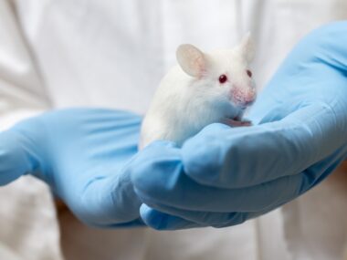 Gene therapy and Alzheimer’s disease