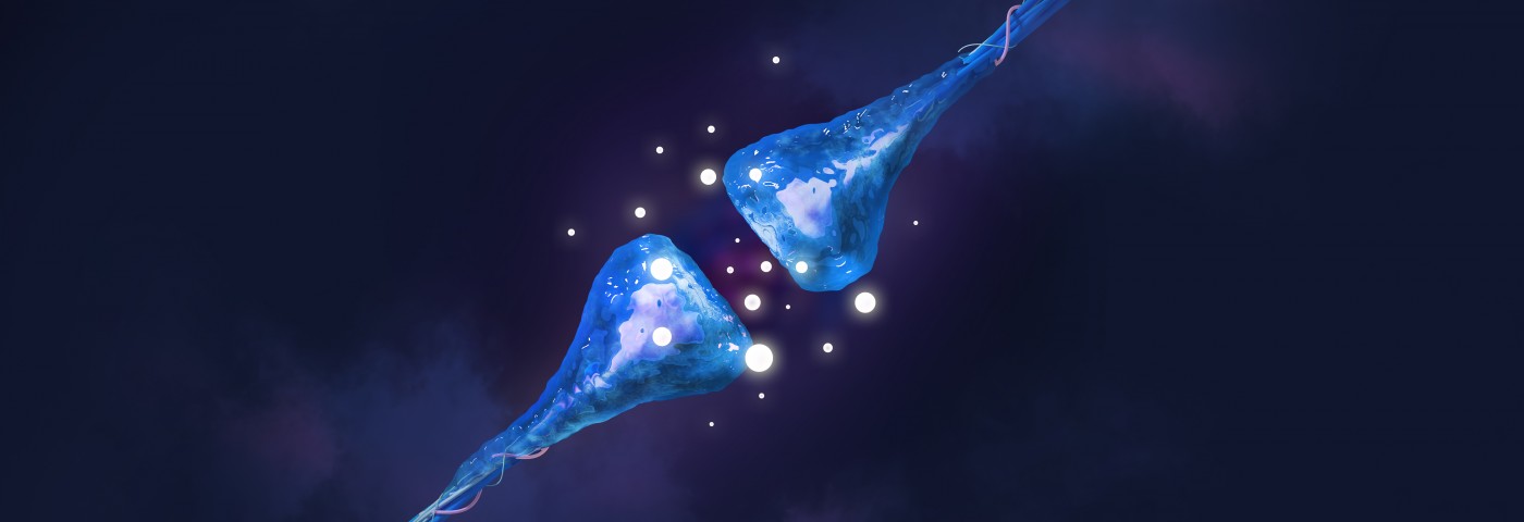 Synaptic Loss Precedes Alzheimer’s Symptoms and Drives Disease, New Study Finds Synaptic Loss Precedes Alzheimer’s Symptoms and Drives Disease, New Study Finds