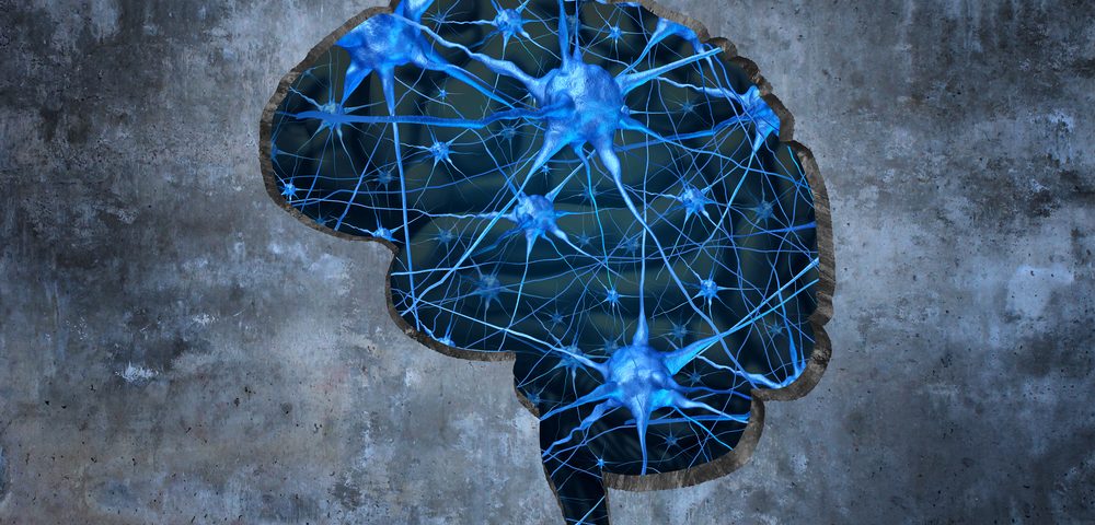 $10M Fund for Brain Degeneration Research Created by Lauder, Newhouse Foundations $10M Fund for Brain Degeneration Research Created by Lauder, Newhouse Foundations