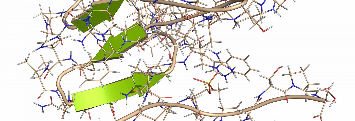 Tau Protein Turns Toxic and Clusters Under Chronic Cell Stress, Study Finds Tau Protein Turns Toxic and Clusters Under Chronic Cell Stress, Study Finds