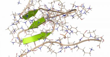 Tau protein complexes