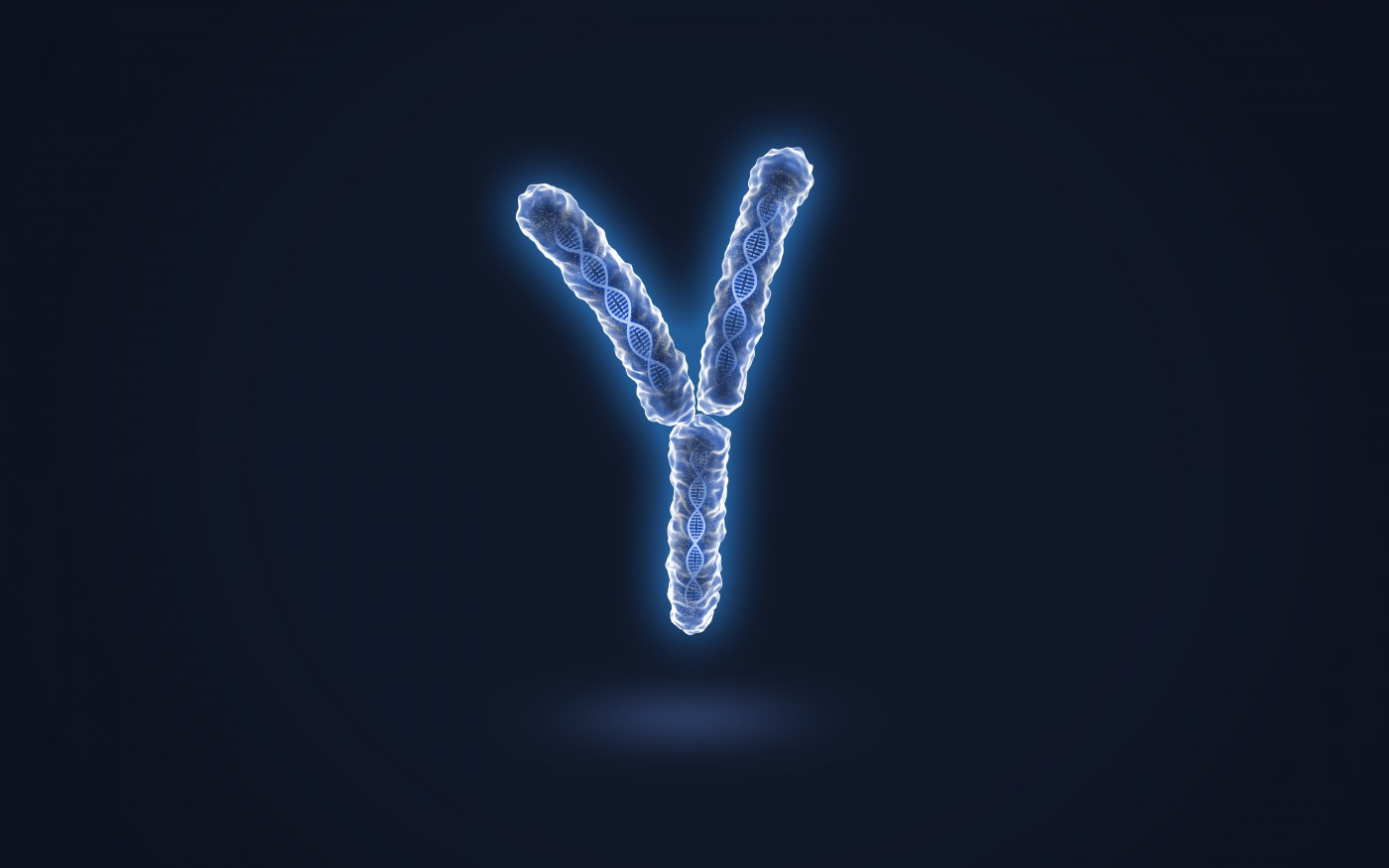 Partial loss of the Y chromosome increases the risk for Alzheimer’s.
