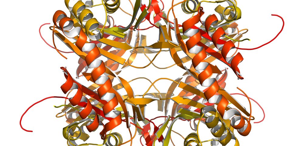 Alzheimer’s Disease: Zinc Transporters May Shed Light on Molecular Mechanism Alzheimer’s Disease: Zinc Transporters May Shed Light on Molecular Mechanism