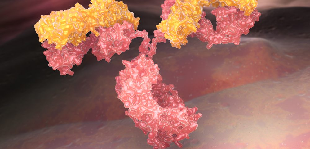 Antibodies Targeting an Alzheimer’s Gene Effectively Treat Cognitive Impairments in Mice Antibodies Targeting an Alzheimer’s Gene Effectively Treat Cognitive Impairments in Mice