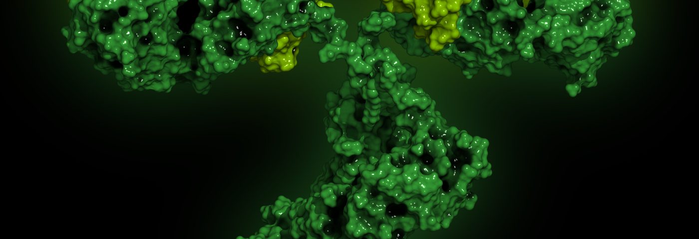 Tau Antibodies May Best Treat Alzheimer’s by Avoiding an Inflammatory Trigger Tau Antibodies May Best Treat Alzheimer’s by Avoiding an Inflammatory Trigger