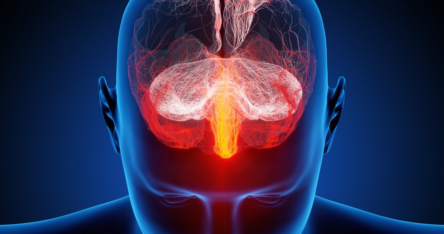 Alzheimer’s Disease Duration and Outcome Vary According to Ethnoracial Groups, Study Finds Alzheimer’s Disease Duration and Outcome Vary According to Ethnoracial Groups, Study Finds
