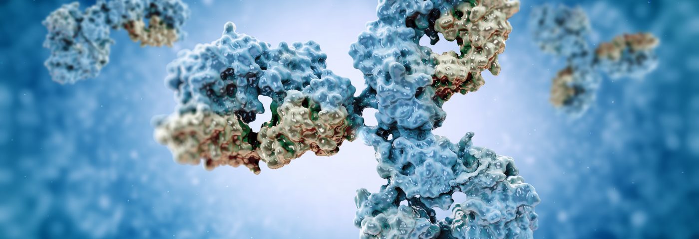 Llama Antibodies May Work to Visualize Brain Changes in Alzheimer’s Patients Llama Antibodies May Work to Visualize Brain Changes in Alzheimer’s Patients