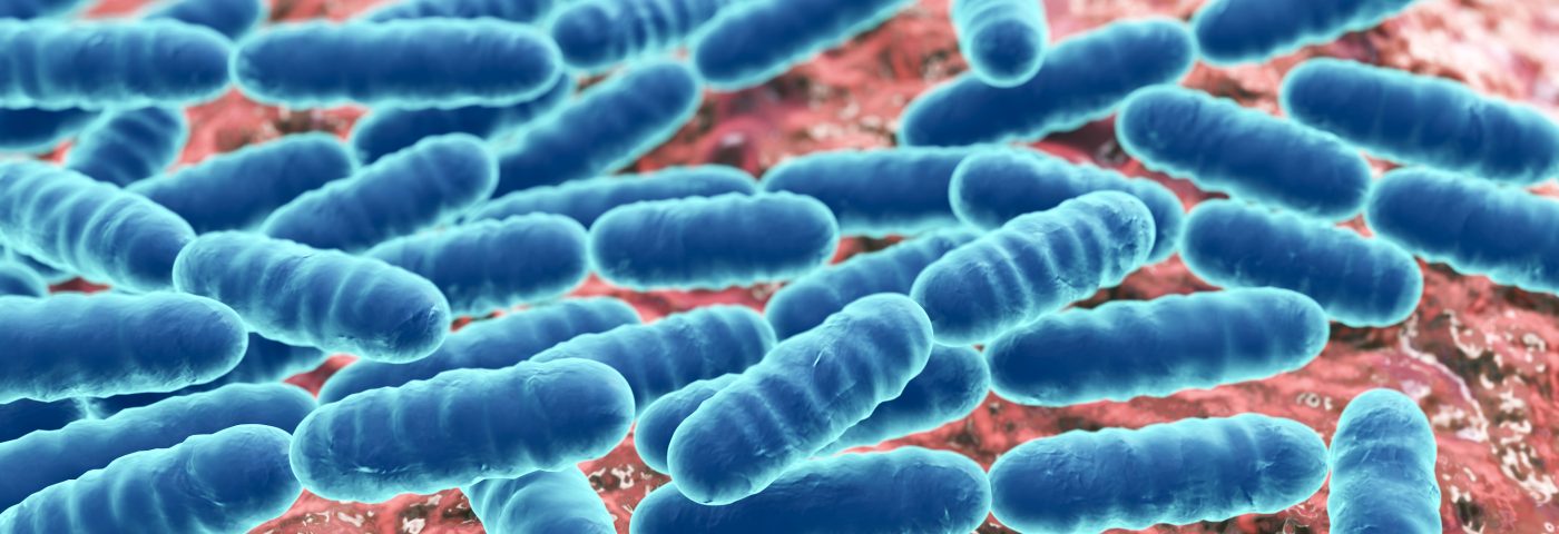 Probiotics Trial in Alzheimer’s Patients Shows Promise in Improving Brain Function Probiotics Trial in Alzheimer’s Patients Shows Promise in Improving Brain Function