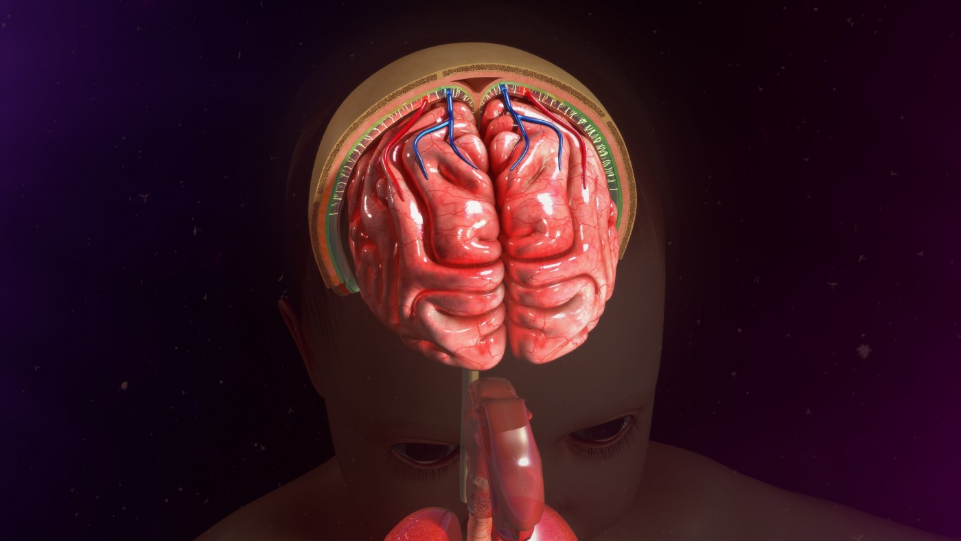 Alzheimer's and Brain Membrane