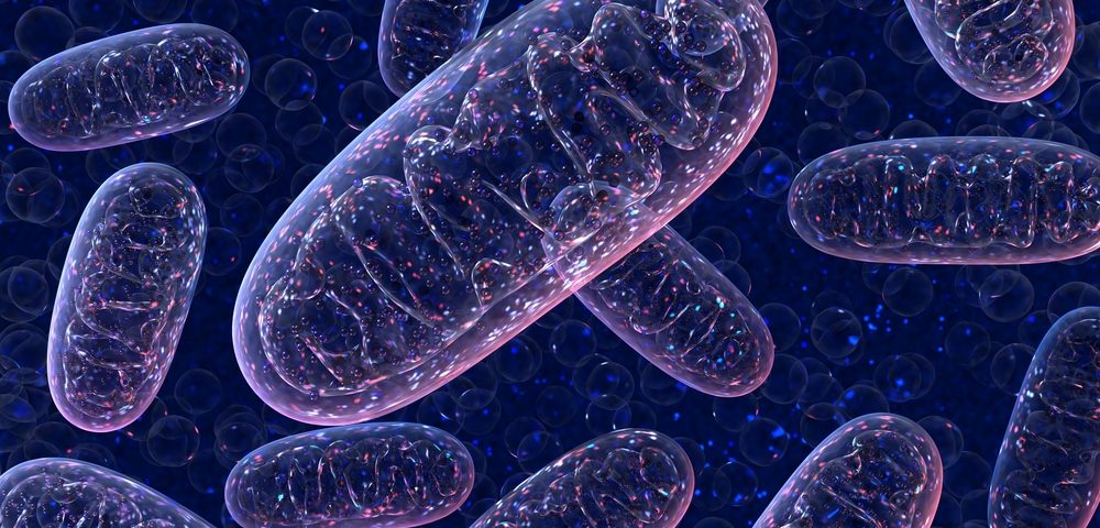 Abnormal Mitochondria May Signal Early Alzheimer’s Disease Processes Abnormal Mitochondria May Signal Early Alzheimer’s Disease Processes