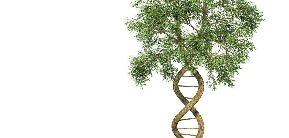 Sangamo’s Research in Alzheimer’s Significantly Reduced Tau Levels in Mice Sangamo’s Research in Alzheimer’s Significantly Reduced Tau Levels in Mice