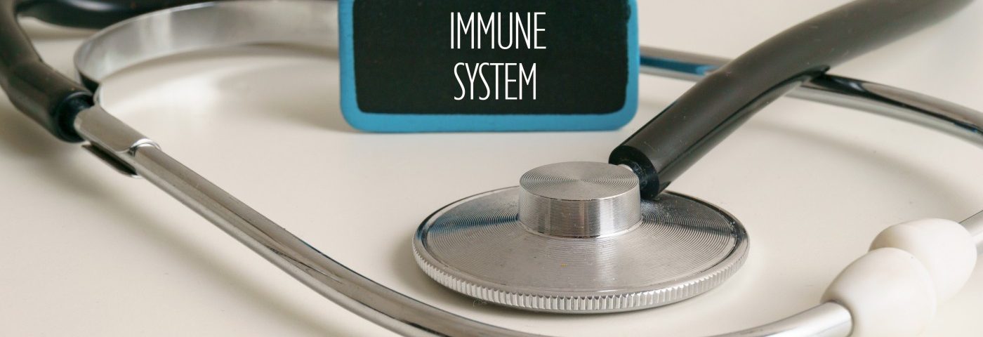 Preventing Immune Response Shows Promise for Alzheimer’s, Other Disorders Preventing Immune Response Shows Promise for Alzheimer’s, Other Disorders