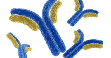 Aducanumab data