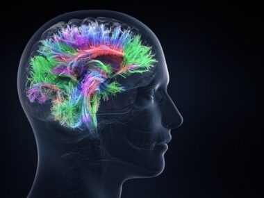 Alzheimer's and memory