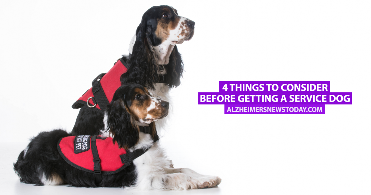4 Things to Consider Before Getting a Service Dog Alzheimer's News Today