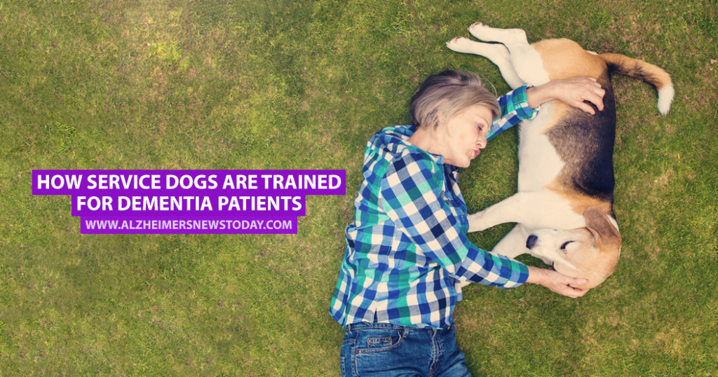 How Service Dogs Are Trained for Dementia Patients