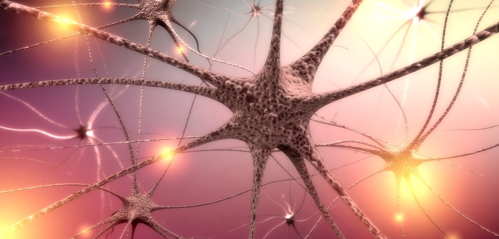 Brain Cells Known as Astrocytes Contribute to Alzheimer’s Nerve Cell Degeneration, Study Reports Brain Cells Known as Astrocytes Contribute to Alzheimer’s Nerve Cell Degeneration, Study Reports