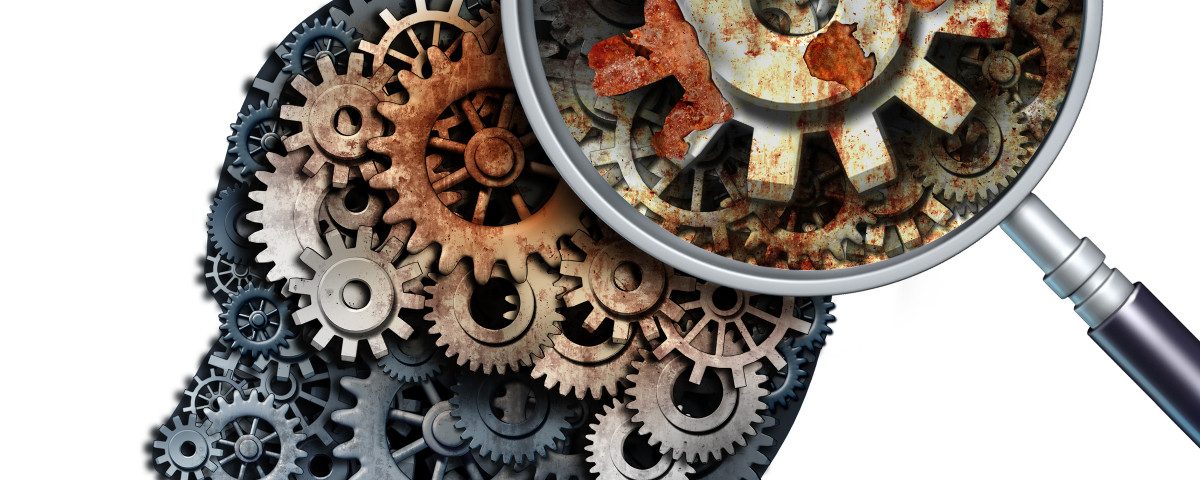 Education Does not Improve Adaptability of Brain in Old Age, Study Suggests Education Does not Improve Adaptability of Brain in Old Age, Study Suggests