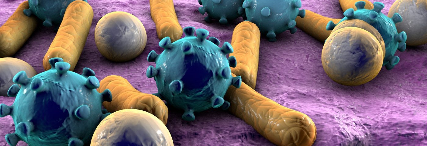 Gut Microbiome May Have Central Role in Alzheimer’s and Like Diseases, Study Argues Gut Microbiome May Have Central Role in Alzheimer’s and Like Diseases, Study Argues