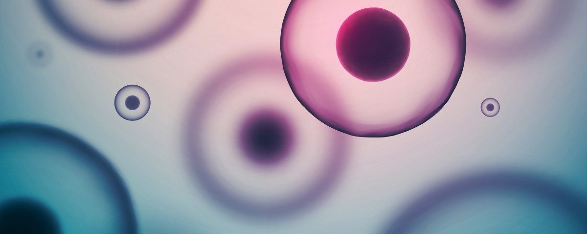 First Stem Cell Therapy for Alzheimer’s Disease Approved, Applied in Japan First Stem Cell Therapy for Alzheimer’s Disease Approved, Applied in Japan