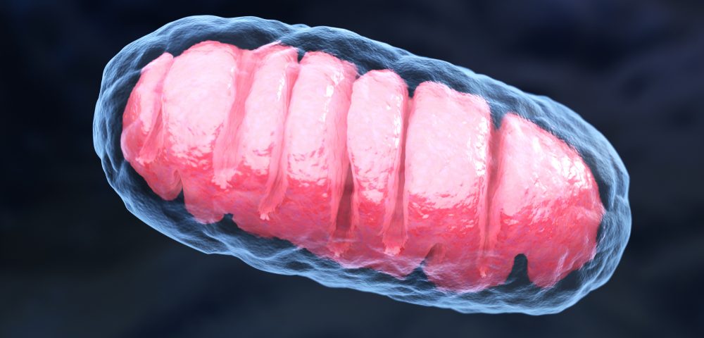 Scientists Discover How a Therapy Both Treats Alzheimer’s and Reverses Aging Scientists Discover How a Therapy Both Treats Alzheimer’s and Reverses Aging