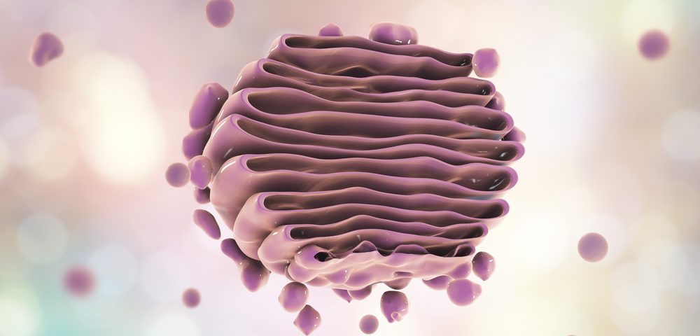 Texas A&M and Celltex Partnering on a Stem Cell-related Alzheimer’s Treatment Texas A&M and Celltex Partnering on a Stem Cell-related Alzheimer’s Treatment