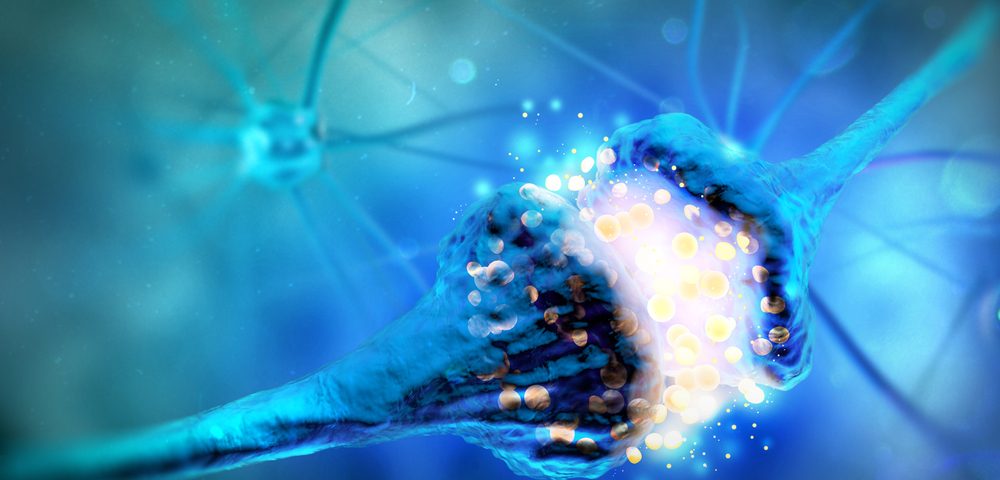 Synaptic Protein Makeup May Explain Why Not All People with Alzheimer’s Brain Markers Develop Dementia Synaptic Protein Makeup May Explain Why Not All People with Alzheimer’s Brain Markers Develop Dementia