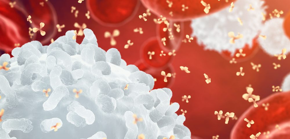Antibody Targeting Protein of Blood May Work Against Neurodegeneration, Study Reports Antibody Targeting Protein of Blood May Work Against Neurodegeneration, Study Reports