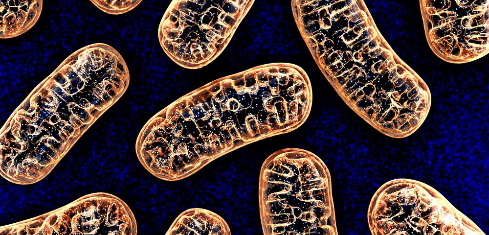 Presence of Mouth Bacteria Linked to Risk of Alzheimer’s, Study Shows Presence of Mouth Bacteria Linked to Risk of Alzheimer’s, Study Shows