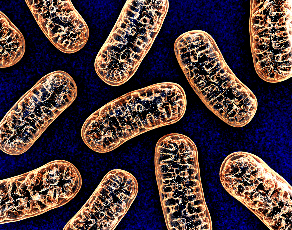 mouth bacteria, Alzheimer's risk