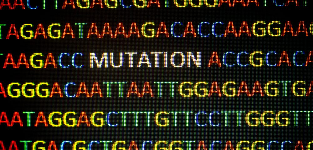 Chemical Compound Can Restore Neural Function in Familial Alzheimer’s, Study Finds Chemical Compound Can Restore Neural Function in Familial Alzheimer’s, Study Finds
