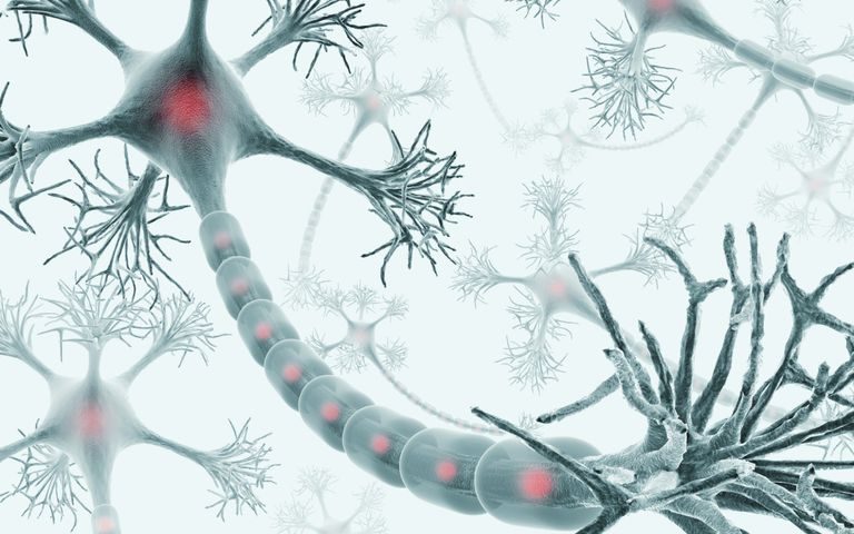Phase 1 Trial for Potential Alzheimer’s Therapy Yields Positive Results Phase 1 Trial for Potential Alzheimer’s Therapy Yields Positive Results