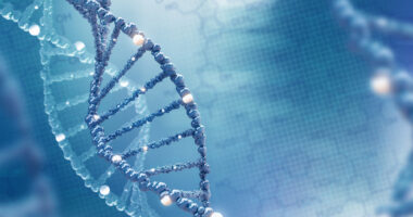 DNA methylation