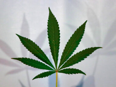 Cannabinoid-based therapy, agitation